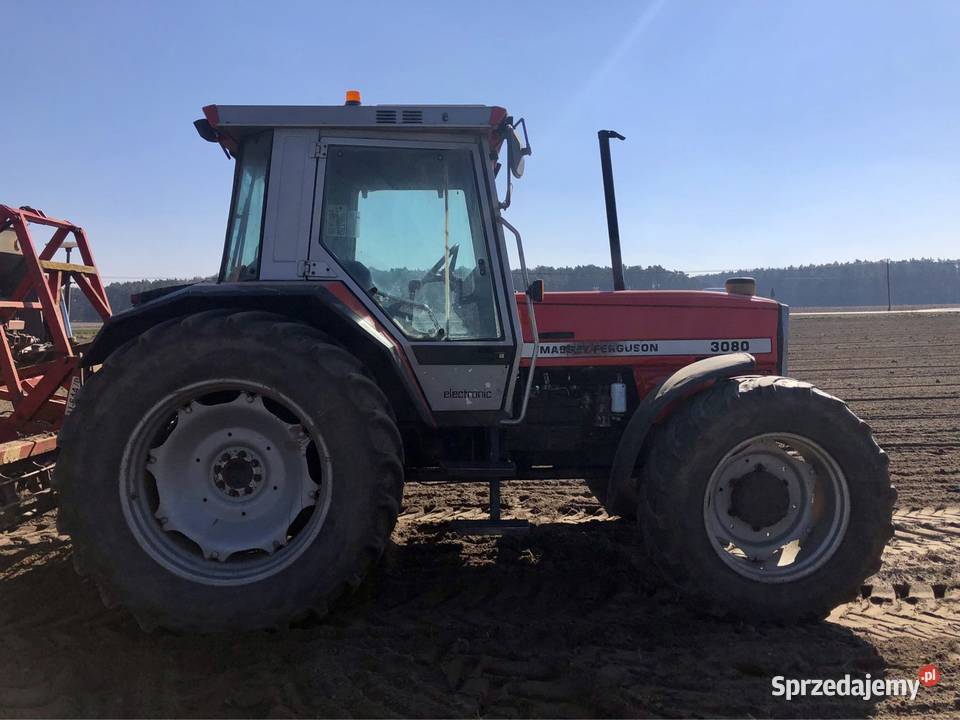 Massey Ferguson 3080 kujawsko-pomorskie Golub-Dobrzyń