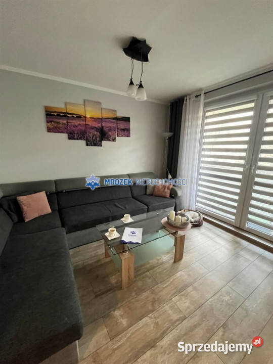 Mieszkanie JastrzębieZdrój 557m2 3 pokoje blok Mieszkania Jastrzębie-Zdrój sprzedam