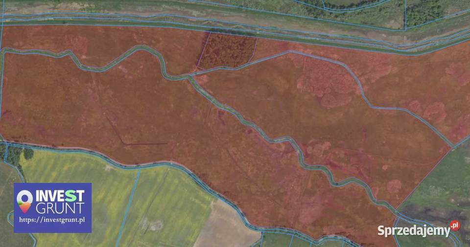 21322 ha przetarg na dzierżawę gruntów rolnych 2132200m2 Wynajem Osiek