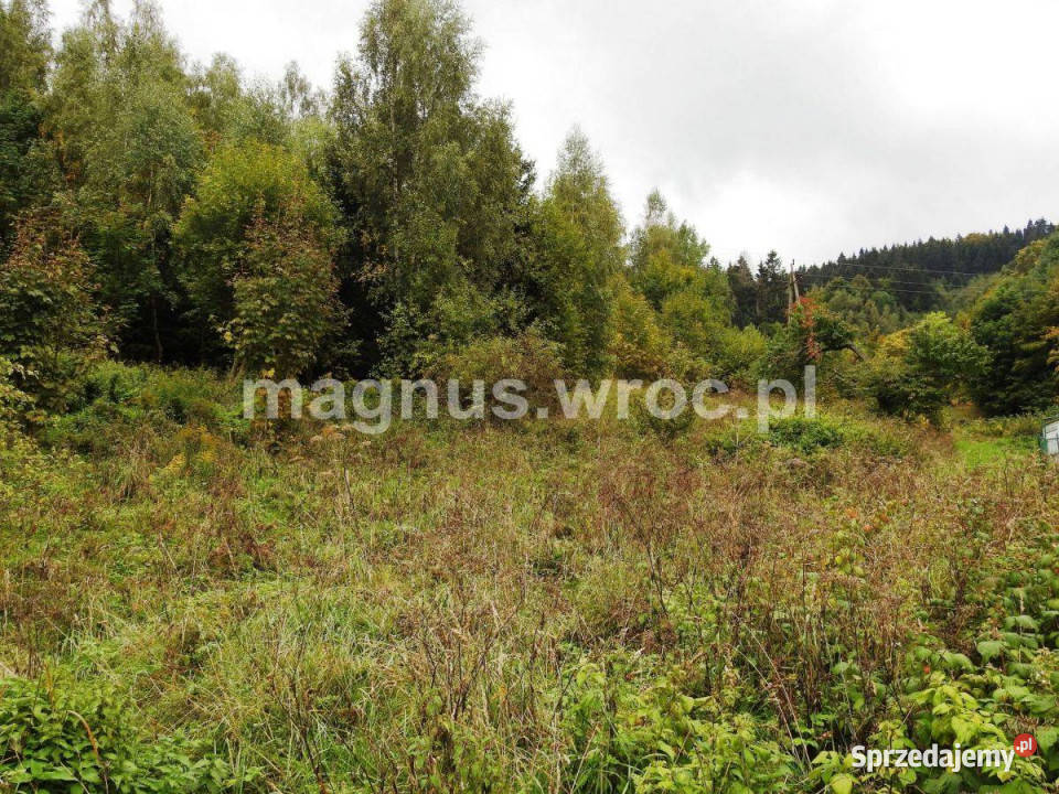 Działka budowlana Łomnica sprzedam