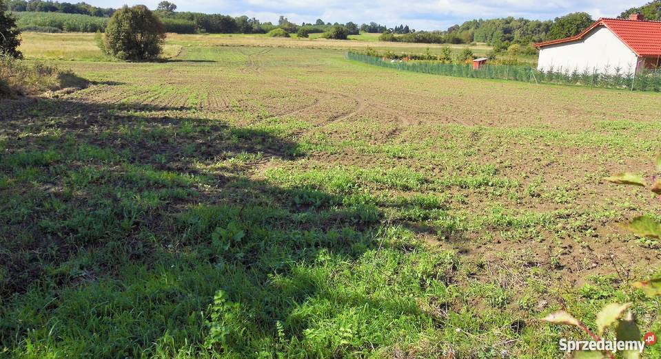 Sprzedam Działkę Krasnołęka