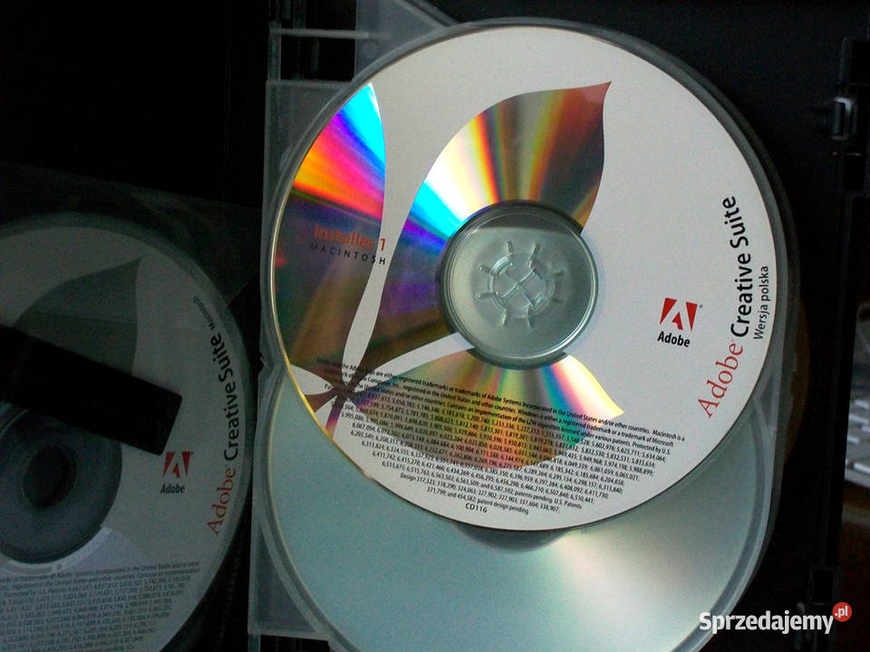 Adobe Creative Suite Premium wersja polska Oprogramowanie Brzeg
