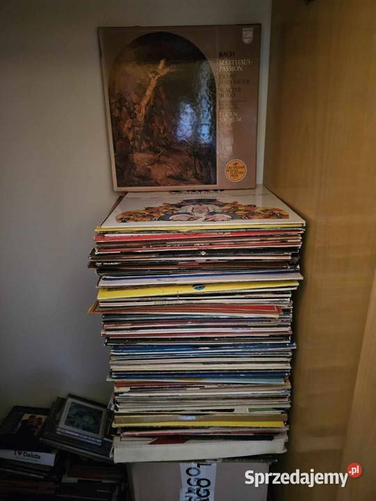 Płyty winelowe Gdańsk