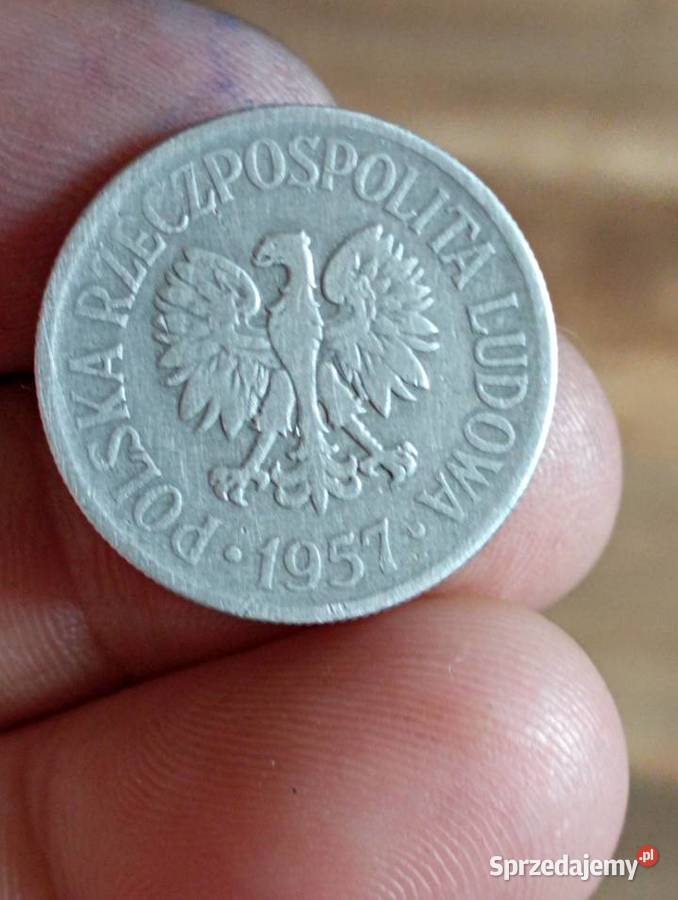 Sprzedam monete 50 gr 1957 Numizmatyka Chełm sprzedam