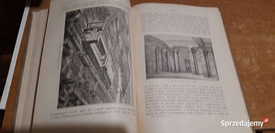 Zarys Dziejów Malarstwa13 Narkiewicz wielkopolskie Iwno