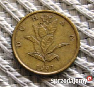 Chorwacja 10 Lipa 13 Kalisz sprzedam