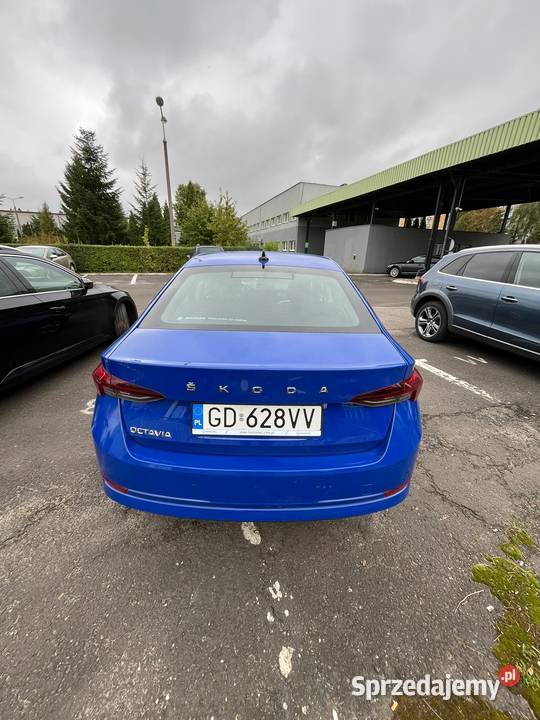 Skoda Octavia IV 20 TDI Ambition DSG Siemianowice Śląskie