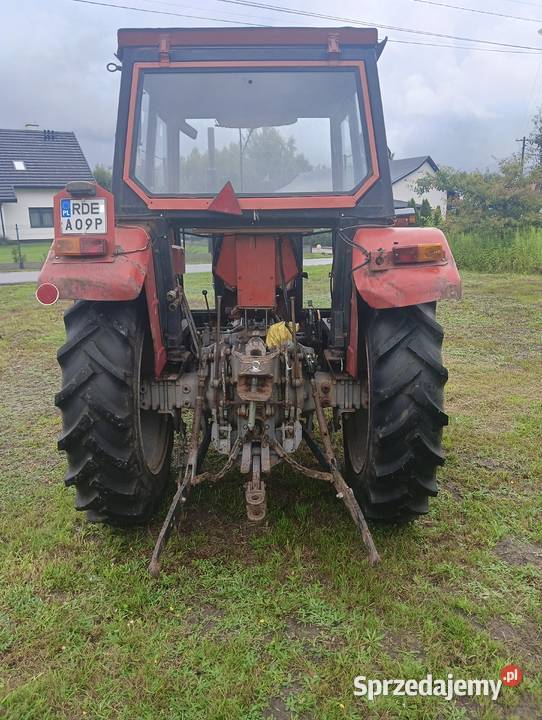 Massey Ferguson 255 Korzeniów