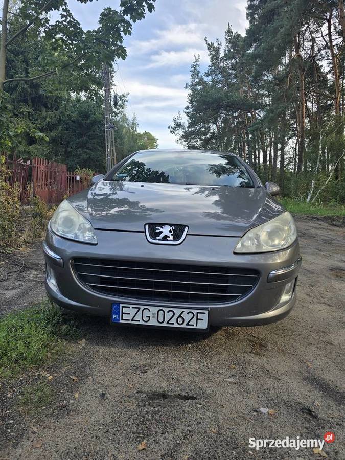 Peugeot 407