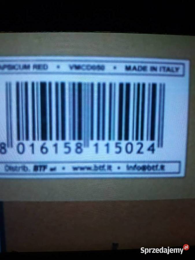 Perełka włoskiego Prog Rocka CAPSICUM RED Rzeszów