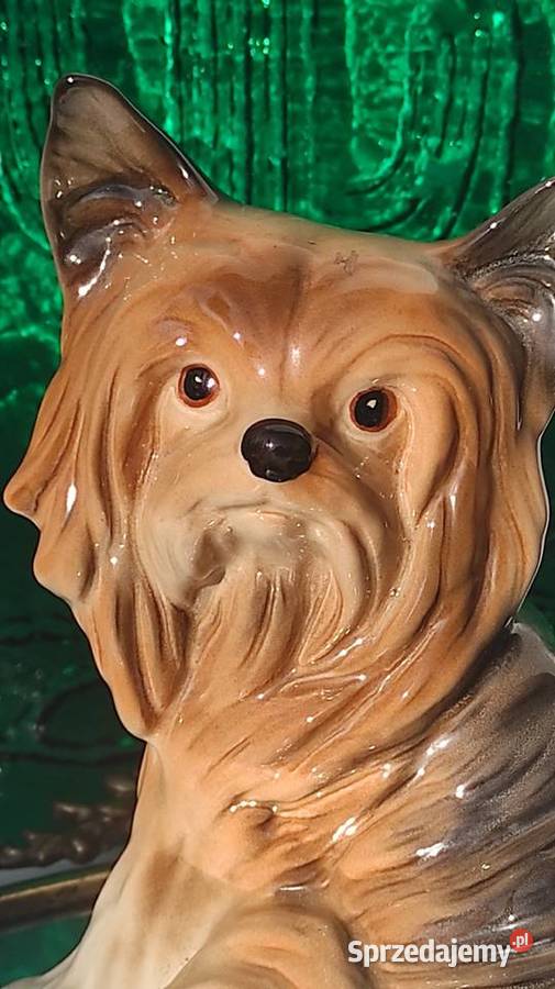 MELBA Wyjątkowa porcelanowa figura psa rasy YORK sprzedam