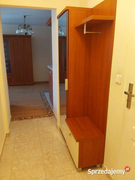 Wynajmę mieszkanie w Krakowie 3 piętra i więcej Kraków