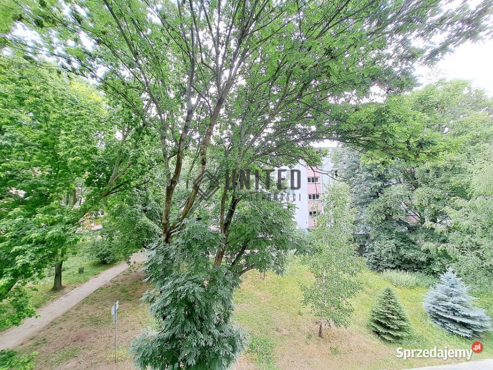 Inżynierskiej BalkonPiwnicaInwestycja Wrocław