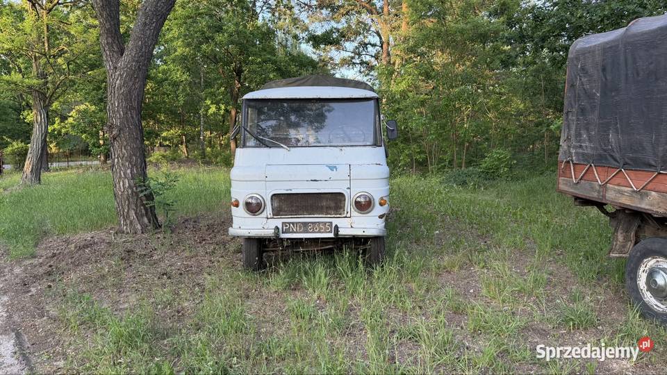 Żuk Smutek Warszawa sprzedam