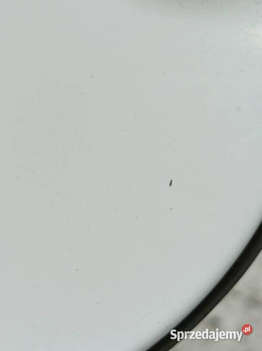 KLAPKA WLEWU PALIWA ET76A27936AA Ford Transit świętokrzyskie