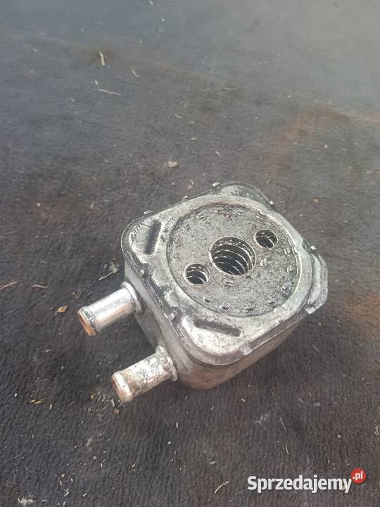 Chłodnica Oleju 028 117 021 C Audi A4 B5 a9 Myszków