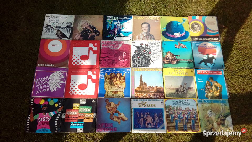 Płyty winylowe kolekcja lata 708090 Wieluń