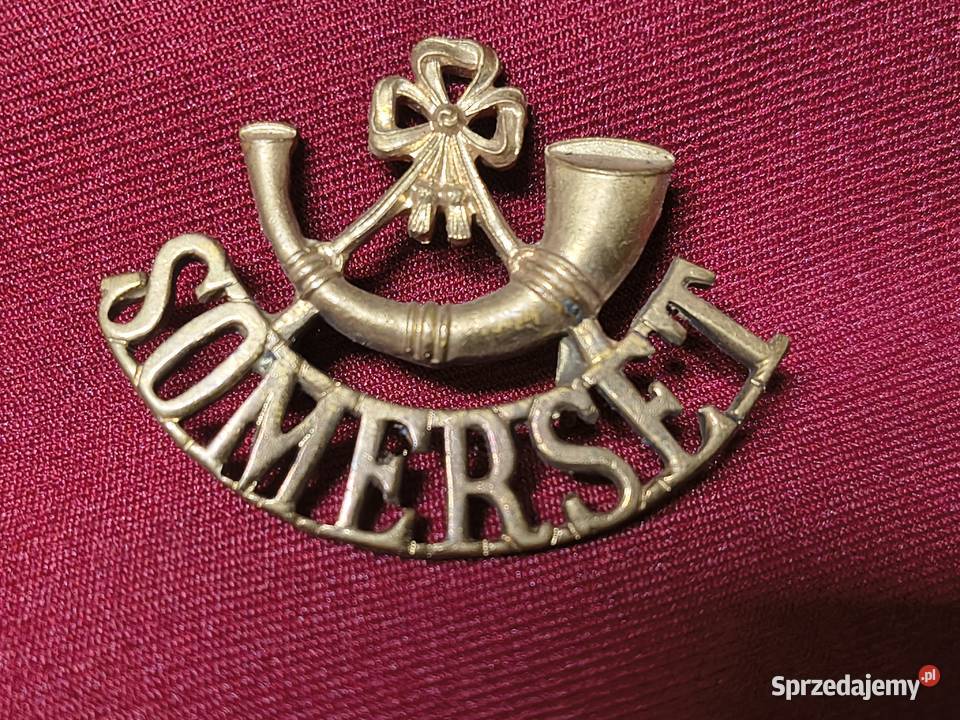 oznaki guziki i dystynkcje wojskowe Chorzew sprzedam