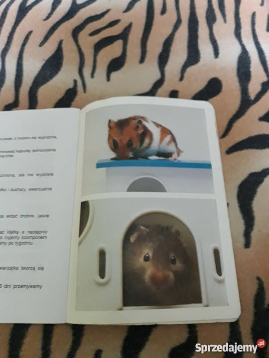 Książka o chomikach Węgorzyno