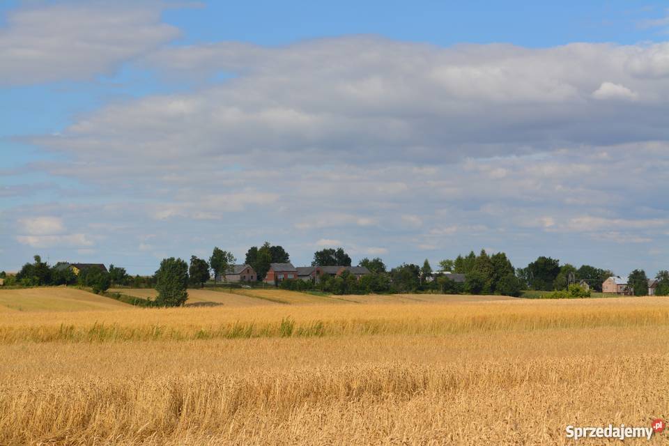Dom z budynkami gospodarczymi na działce 110ha siatka