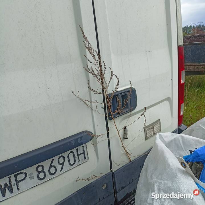 Drzwi Iveco daily 2013r Biała Podlaska