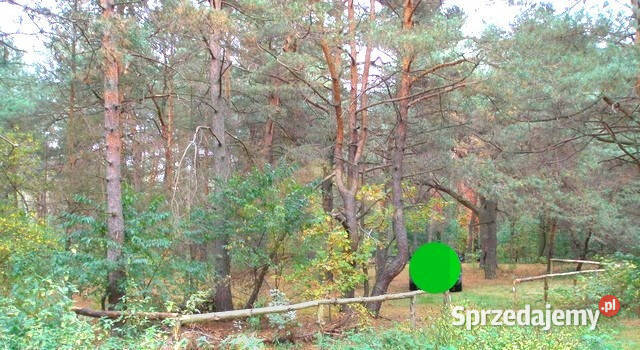 Działka w Woli Karczewskiej Wola Karczewska sprzedam