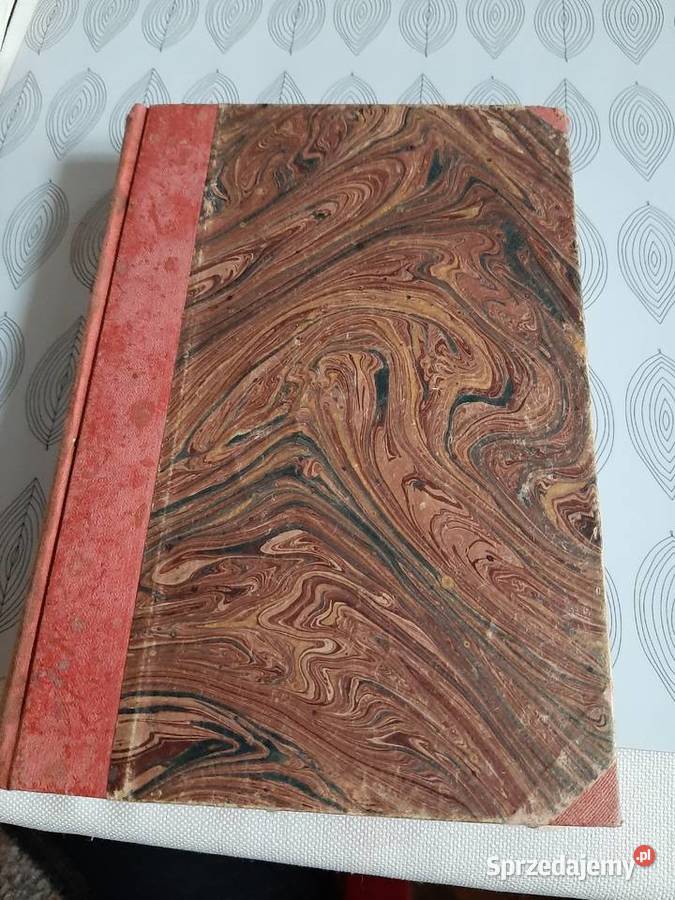Kurs literatury polskiej WłNehring 1866 r Stronie Śląskie