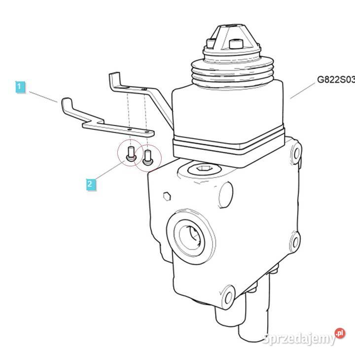 Śruba M5 x 080 x 10 LS XJ25 LS MT125 LS MT335 LS Tajęcina