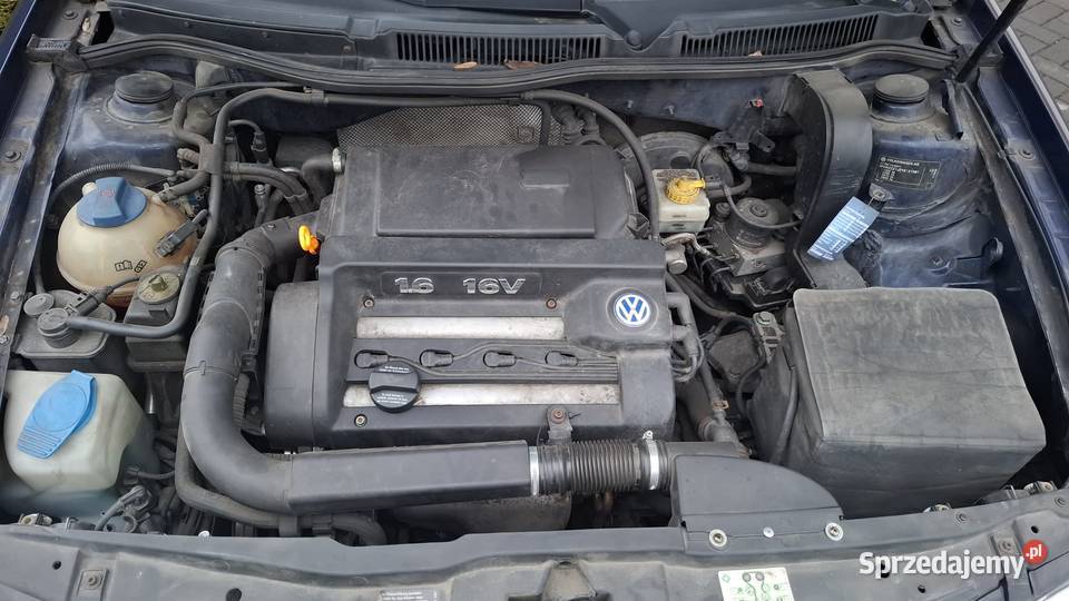 Volkswagen Golf 4 16 benzyna Zdzieszowice