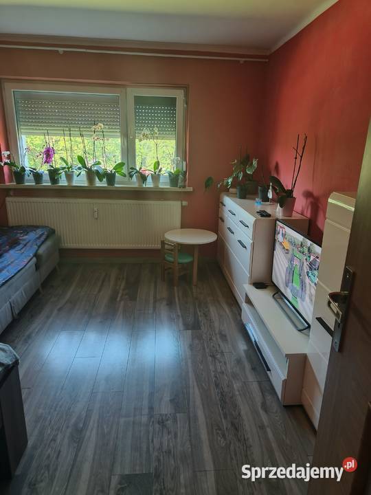 Mieszkanie 54 m2 blok Ciężkowice