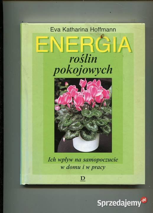 Energia roślin pokojowych Ich wpływ na Szczecin