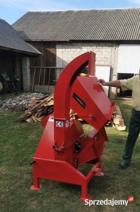 Rebak Tarczowy dolnośląskie Legnica