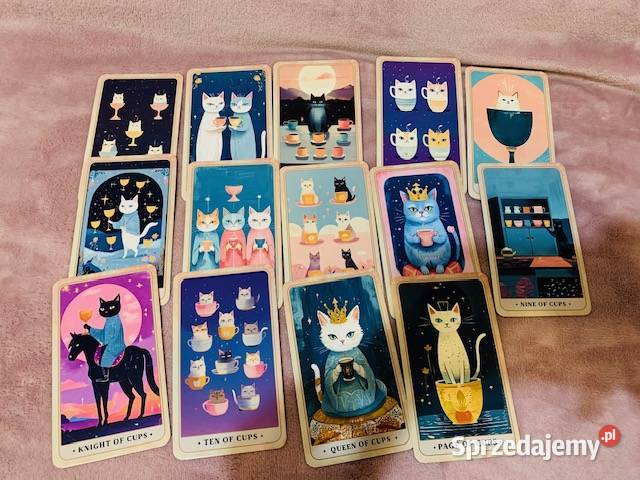 Karty The Meow Tarot Warszawa