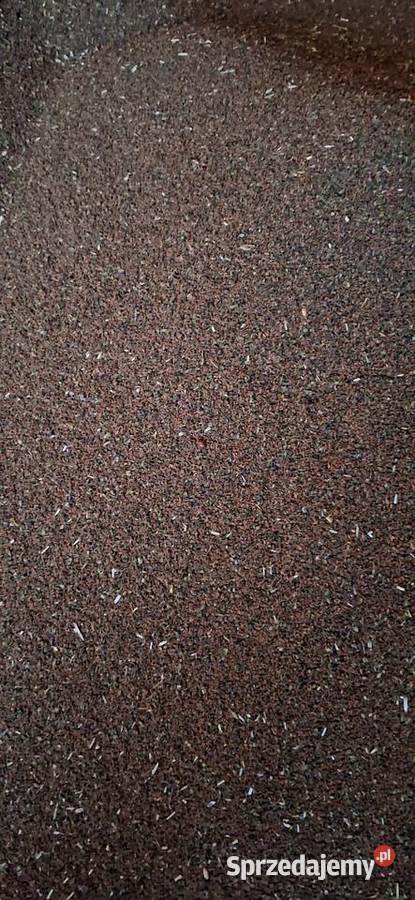 Facelia Lipno 7 do negocjacji kujawsko-pomorskie