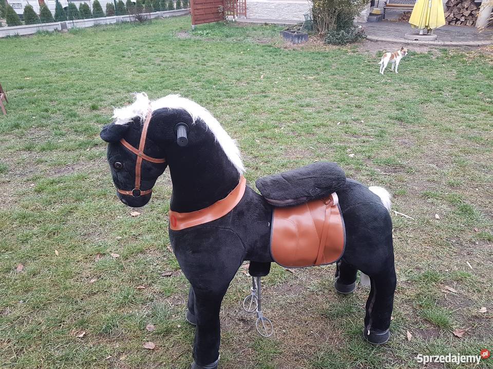 Konik mechaniczny duży czarny Orle