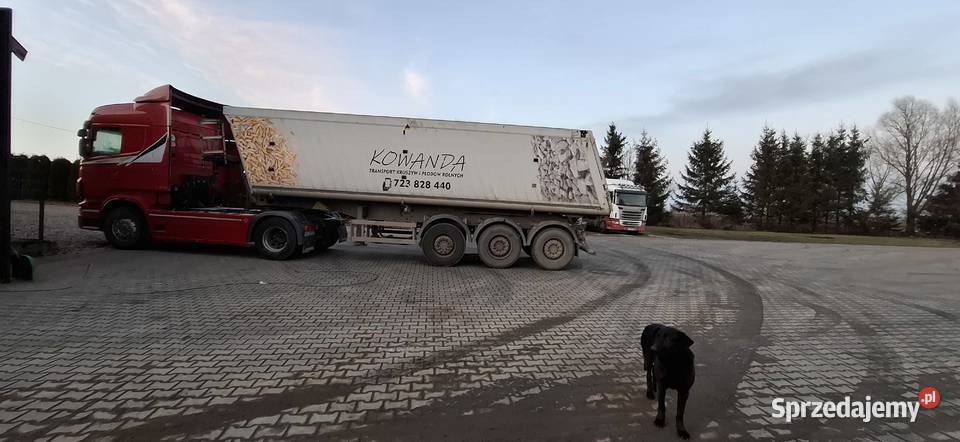 Naczepa schmitz 40m Schmitz Cargobull Lidzbark Warmiński