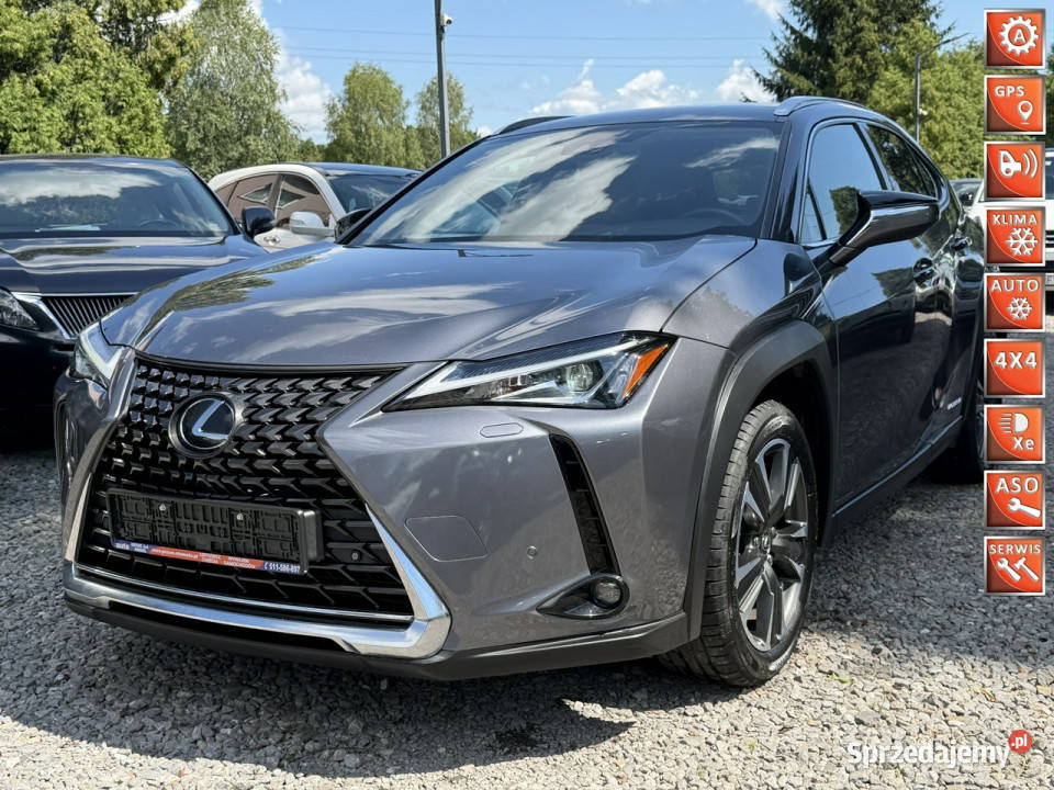 Lexus UX 250 Hybrid Skóra Ful LED Premium automatyczna Łodygowice