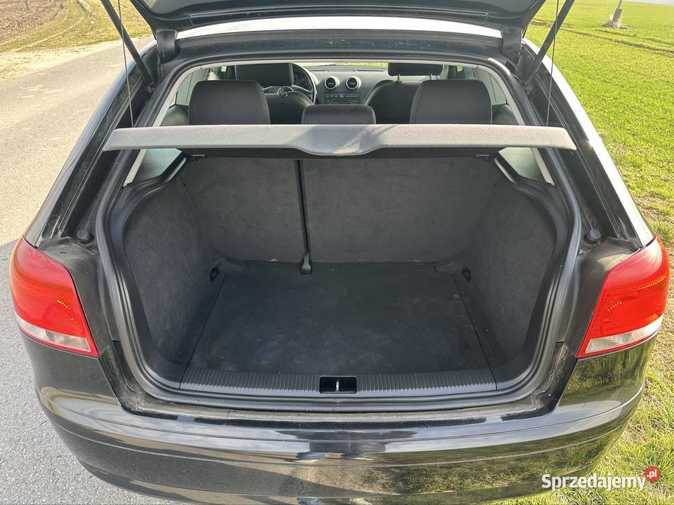 Audi A3 Sline 8P 20 TDi 140 2004 z Niemiec wspomaganie kierownicy Przeworsk