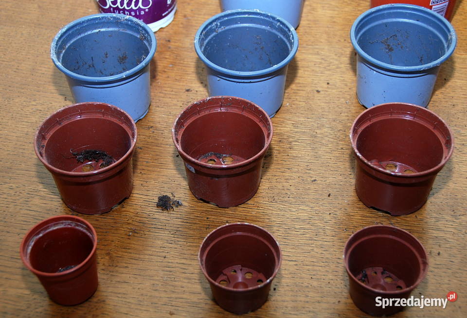 25 doniczka doniczki produkcyjne do rozsady