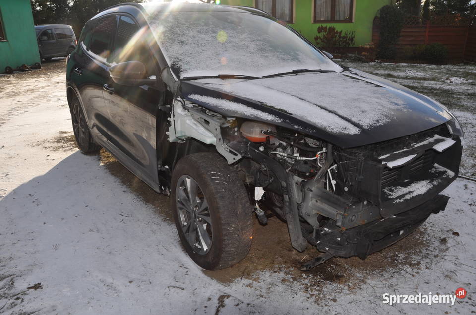 Ford Kuga STLINE 4X4 190 Koni Automat Virtual Sierakowice