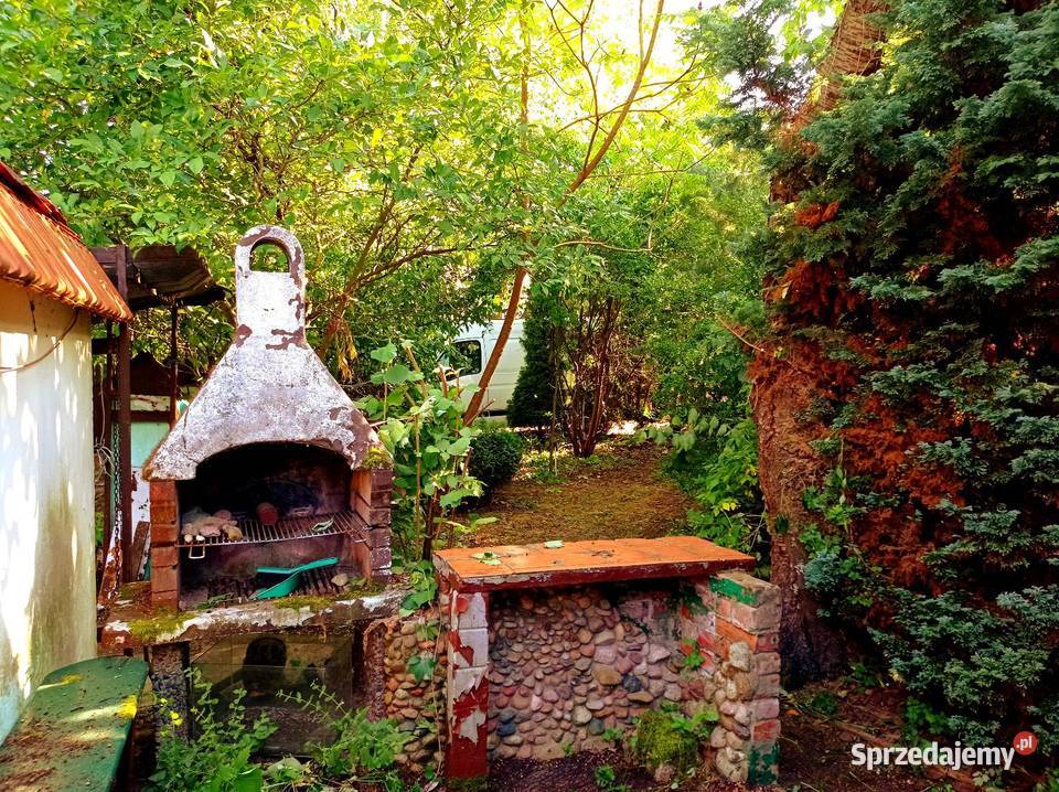 DWA DOMY NA WSI CAŁOROCZNE POD LASEM OKAZJA Chynów sprzedam