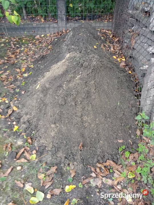 Płyty chodnikowe uszkodzone 50x50 Ziemia