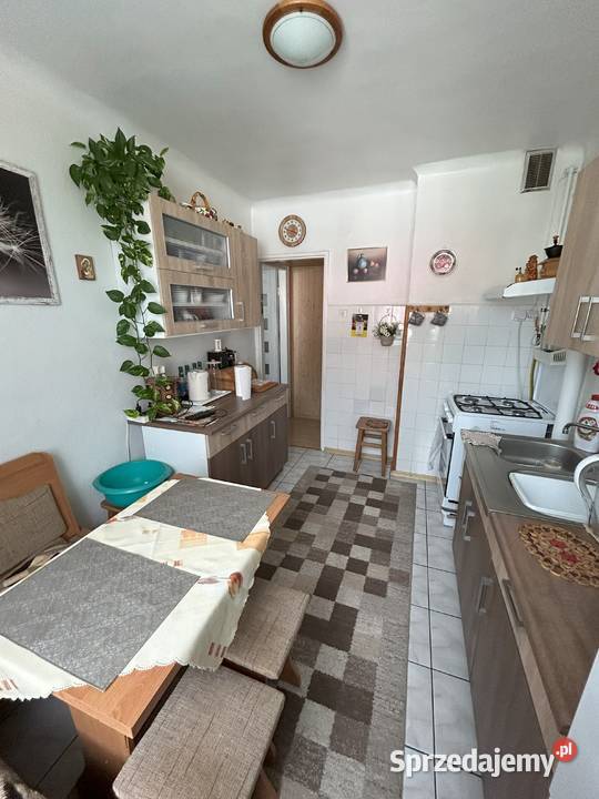 Sprzedam 3 pokojowe mieszkanie na oś Sady w 58.9m2