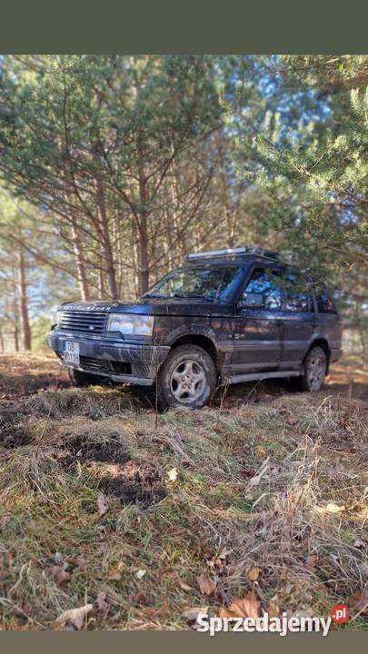 Range Rover p38 Wałbrzych
