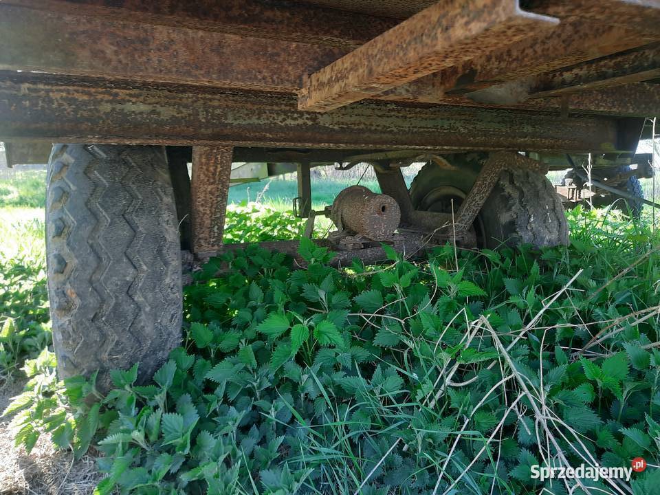 Rama rozrzutnika Rozrzutniki obornika zachodniopomorskie Truskolas