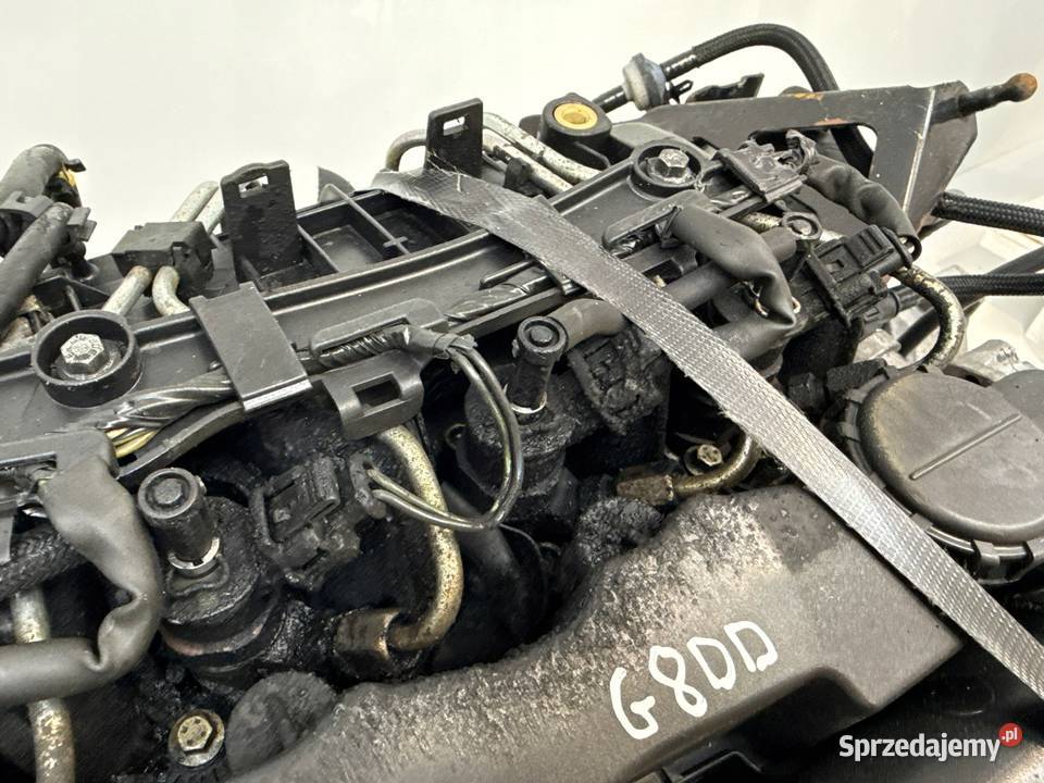 SILNIK KOMPLETNY G8DD Ford Focus II MK2 C C 16 osobowe Chełm sprzedam