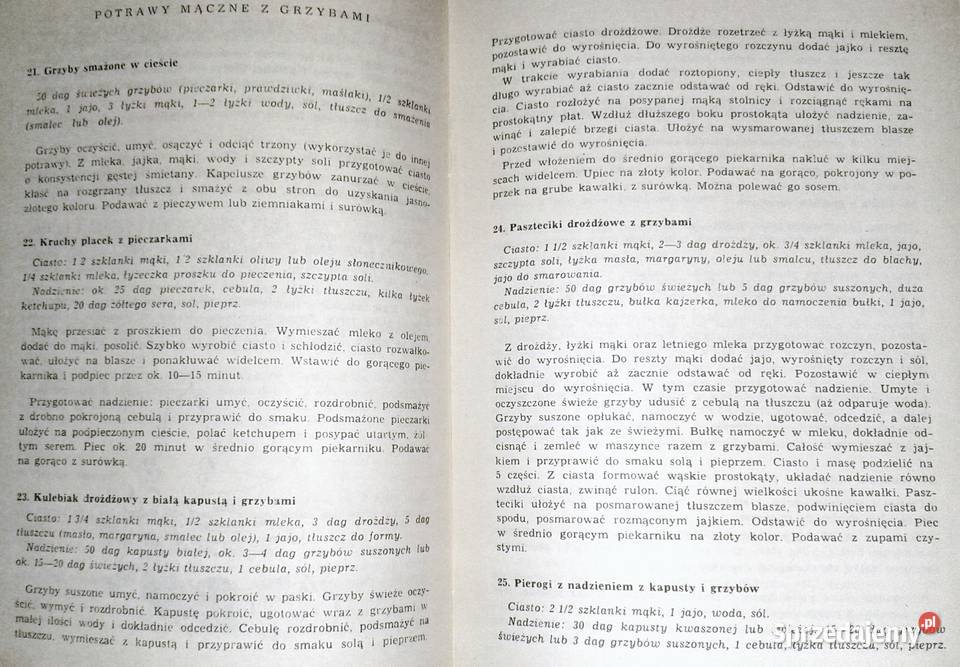 Potrawy i przetwory z grzybów Ilona Dąbrowa miękka Chełm