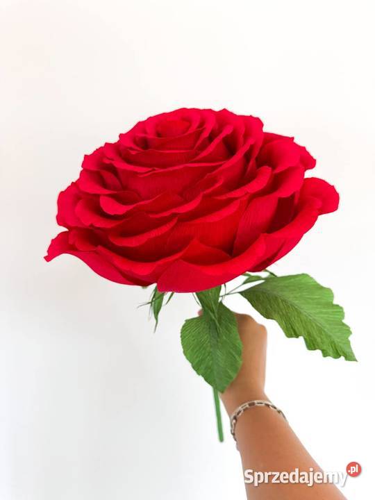Duża róża z krepiny włoskiej Zielona Góra