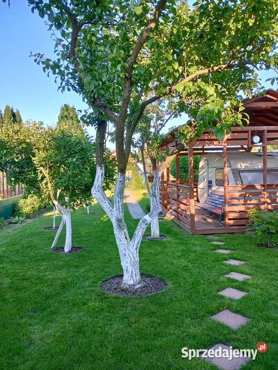 Działka ROD Stogi Gdańsk