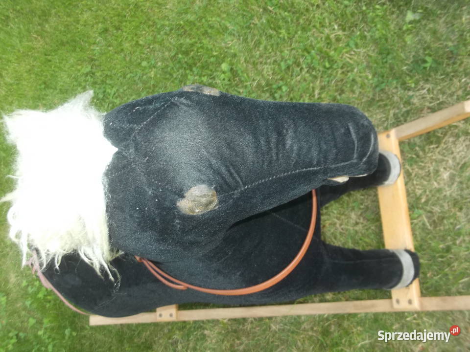 Konik na biegunach PRL dolnośląskie